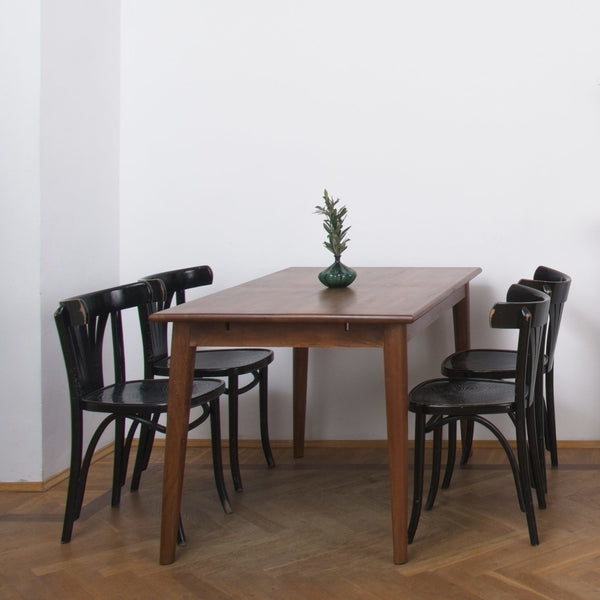 inklapbare tafel MARIAN - 160x90 cm